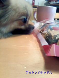 それ、おししい？？