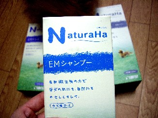 クリのシャンプー２