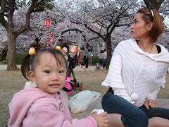 大阪で花見と言えば、大阪城内の西の丸庭園。重要文化財に囲まれ、大阪の桜の標準木もあり。開花予想もこちらからの発信です。まさに、ザ花見な場所。.JPG