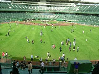 バックスクリーンから。