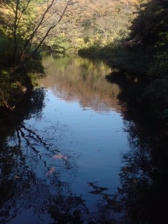 日立の池