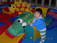 ワニさんとか、あまり興味ないんだよな・・・。
