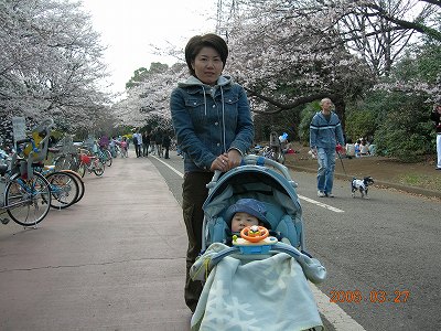 桜、きれいだね♪