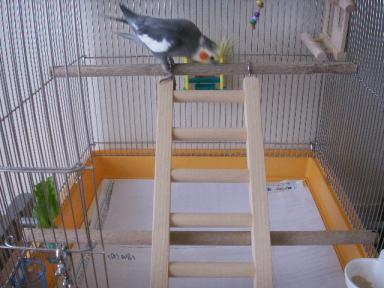 PICT0012.JPG
