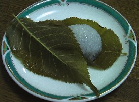 IMGA0972.JPG