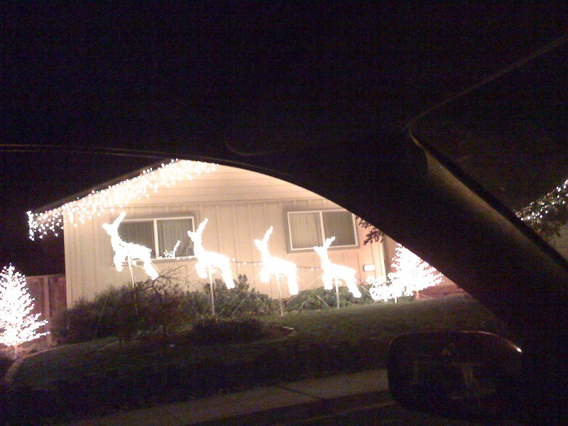 xmaslights0802