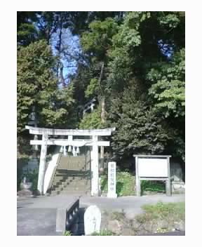 曽枳能夜神社の鳥居