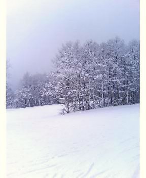 P506iC0017826075.jpg