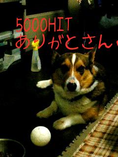 5000HIT.jpg