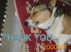 2000HIT