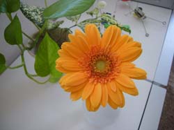 2006,12-29 花 017.jpg