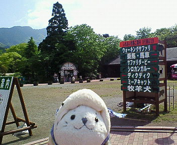 富士サファリパーク１９