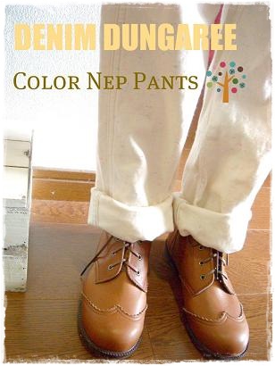 コピー ～ カラーネップPNアップ画.jpg