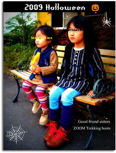 コピー ～ ZOOMトレッキング.jpg