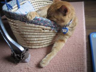 半分落ちていますよ…