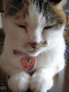 お手々揃えて、ヨロシクね♪