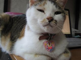 あ～つまんないな～