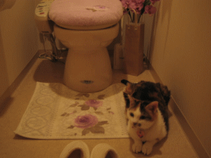 おトイレ大好きペティちゃん