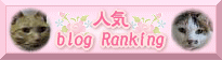 人気blog Ranking 1回クリックお願いします♪