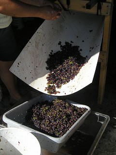 いい味出してくれよぉ～♪