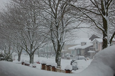 バーナビーは雪だらけ