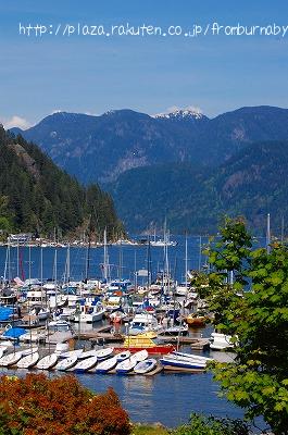 Deep Cove