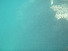 5234.jpg