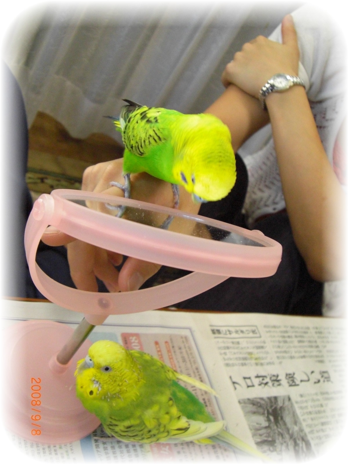 CIMG0412.JPG
