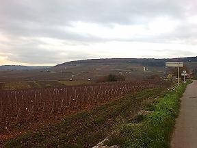 Corton06.JPG