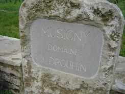 Musigny03.JPG