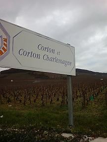 Corton03.JPG