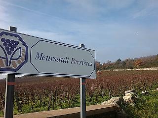 Meursault03.JPG