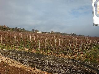 Meursault04.JPG
