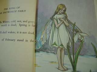 The Snowdrop Fairy