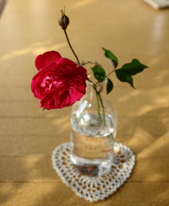 DSC00007a.JPG