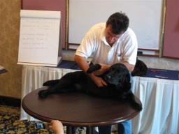 IMG_1257.JPG