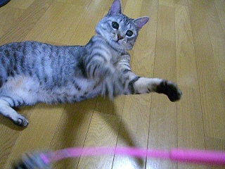 画像 034.jpg
