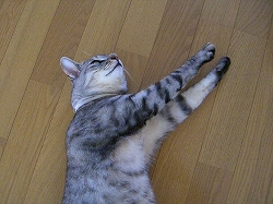画像 319.jpg