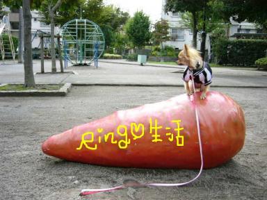専門 105.jpg