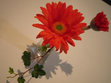 ガーベラ 001.jpg