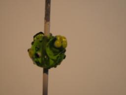 サボテン 002.jpg