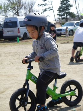 20100501strider.JPG