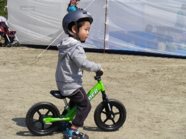 20100607strider.JPG