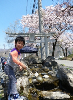 20100503sakura.JPG