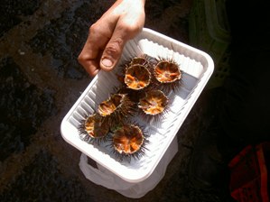 Uni