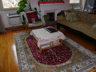 carpet 2.jpg