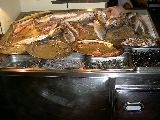 Fish Counter