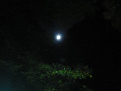 Full moon Sep 2010.jpg