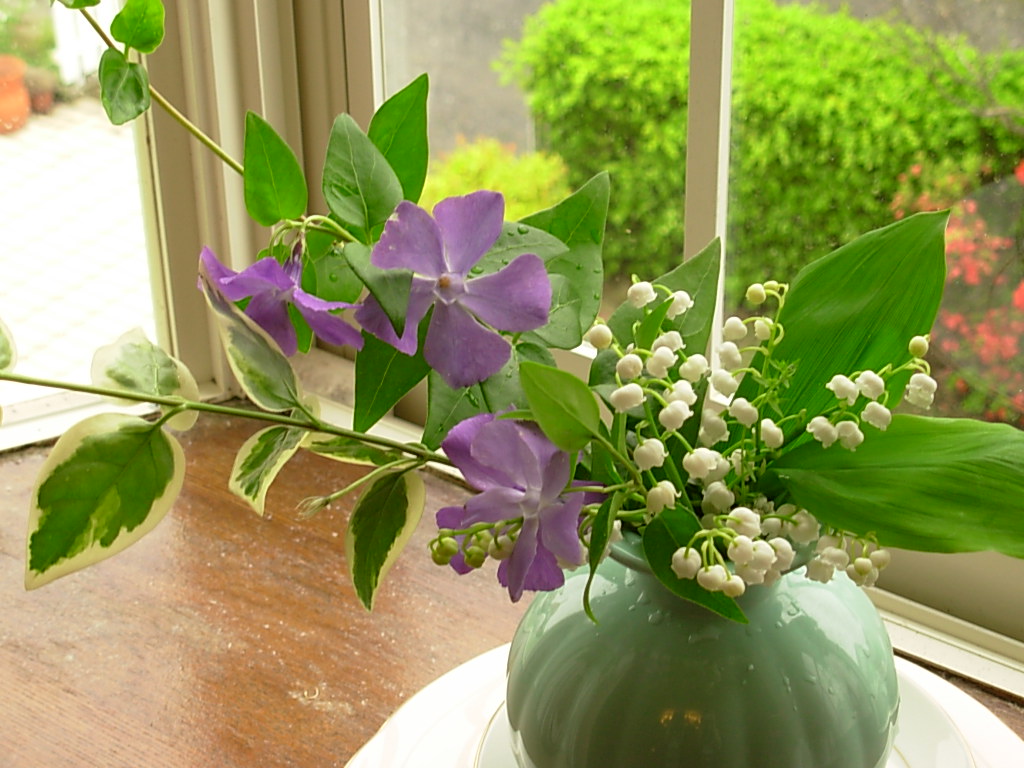 窓辺のスズランとツルニチニチソウ