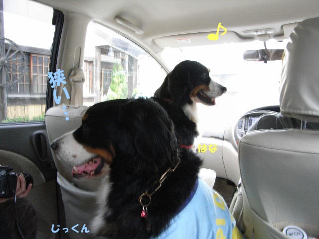071027-034.jpg